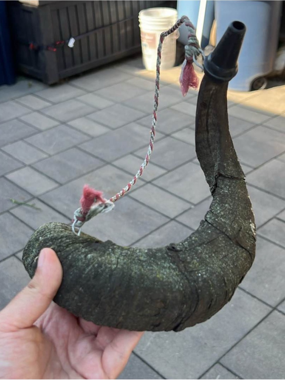 Pet Bird Foraging Horn with Pink Rope Attachment